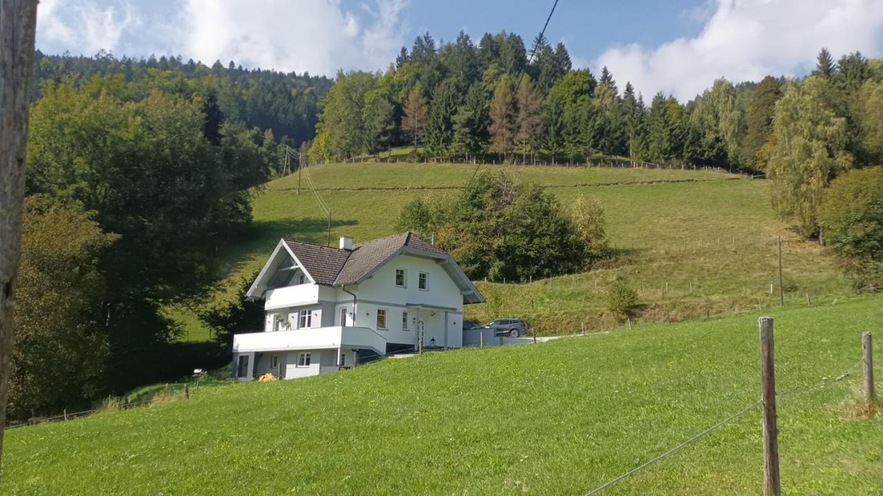 Aparts Lakeview -Gerlitzen -Ossiacher See -Ski Tratten  Exteriér fotografie
